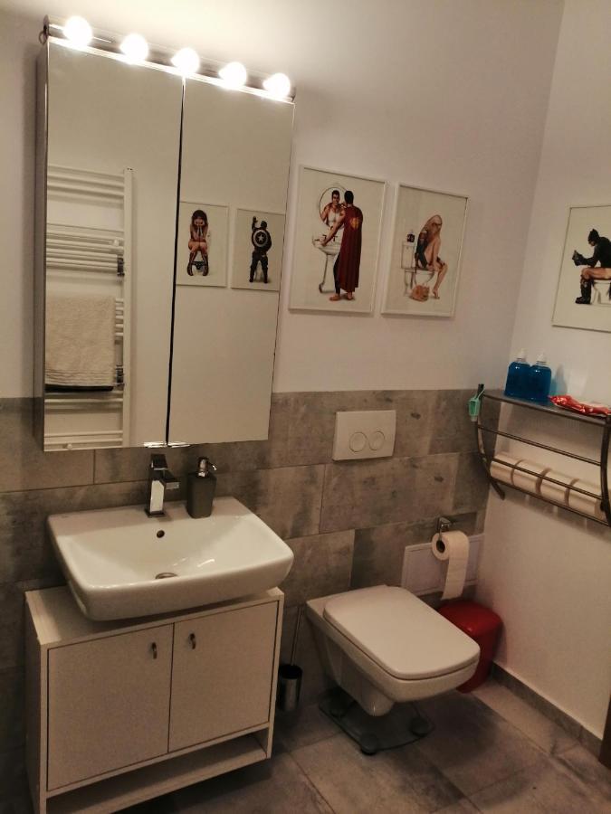 דירות Târgu-Mureş Maurer Loft מראה חיצוני תמונה