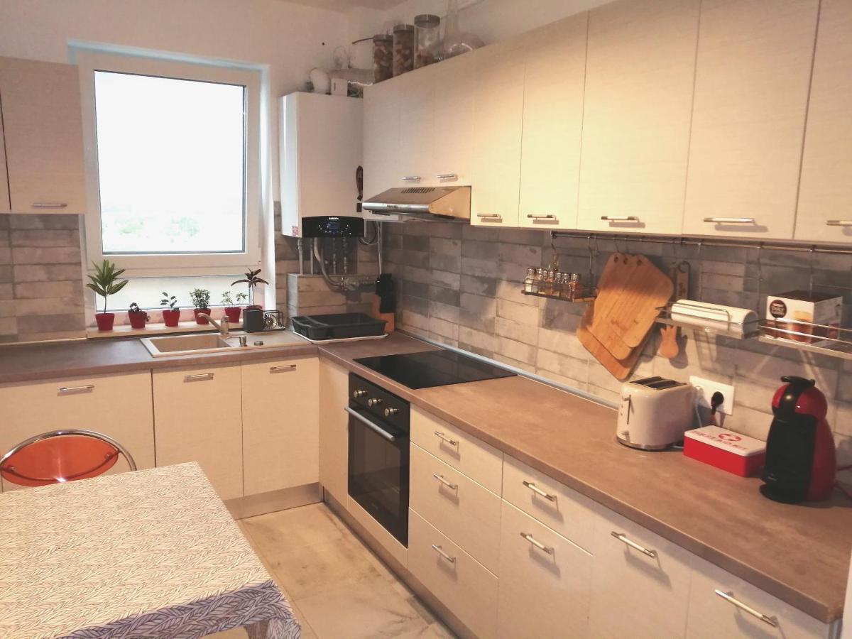דירות Târgu-Mureş Maurer Loft מראה חיצוני תמונה