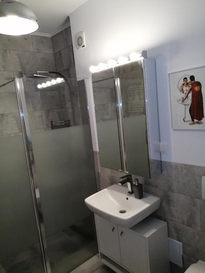 דירות Târgu-Mureş Maurer Loft מראה חיצוני תמונה