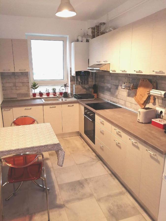 דירות Târgu-Mureş Maurer Loft מראה חיצוני תמונה