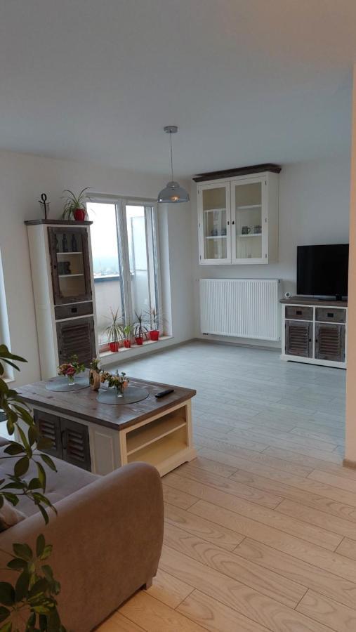 דירות Târgu-Mureş Maurer Loft מראה חיצוני תמונה